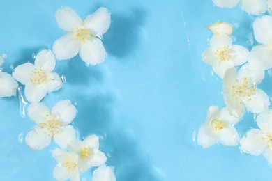 Photo of Beautiful jasmine flowers in water on light blue background, top view. Space for text