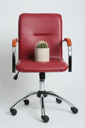 Photo of Red armchair with cactus on white background. Hemorrhoids concept