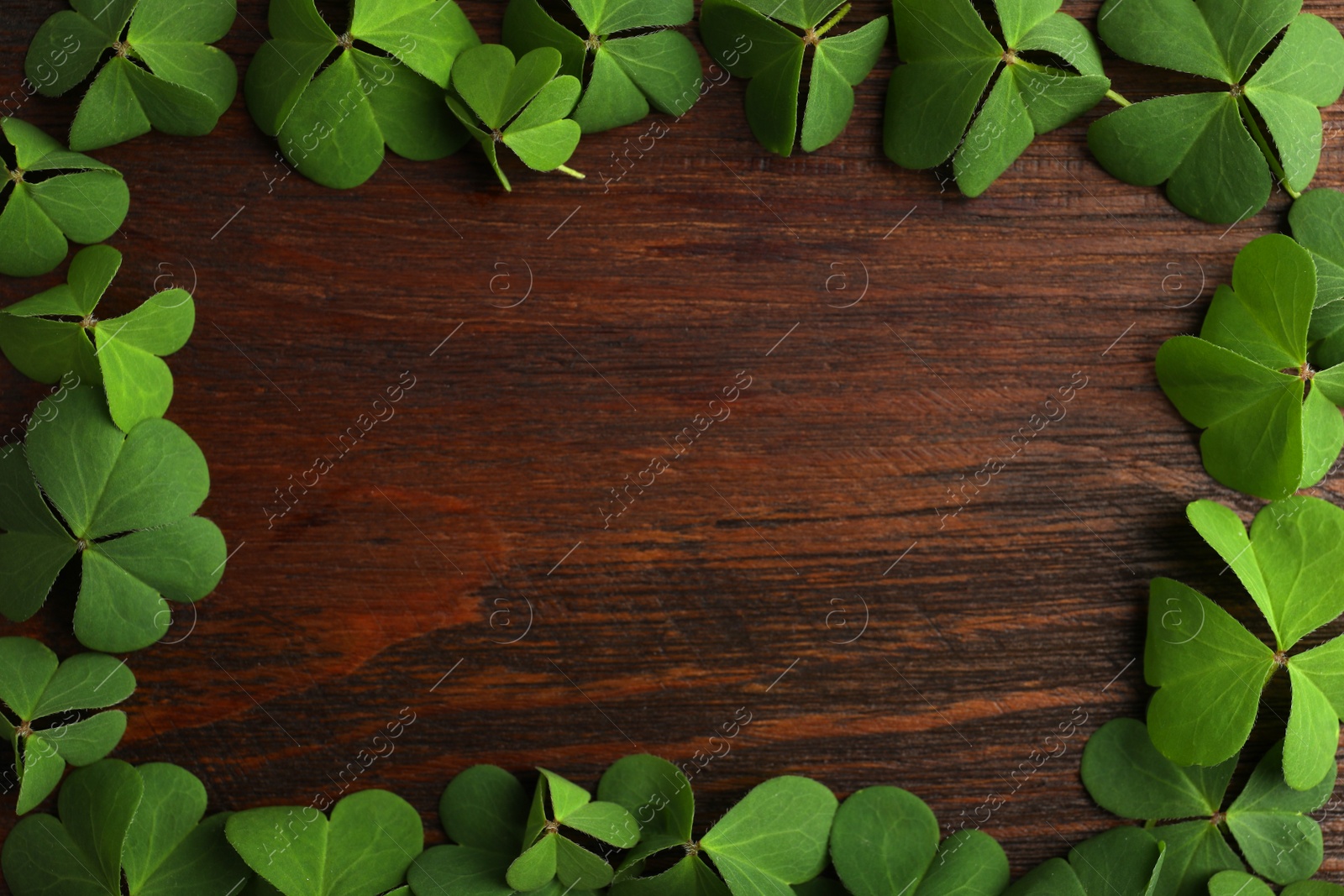 Photo of Frame of clover leaves on wooden table, top view with space for text. St. Patrick's Day symbol