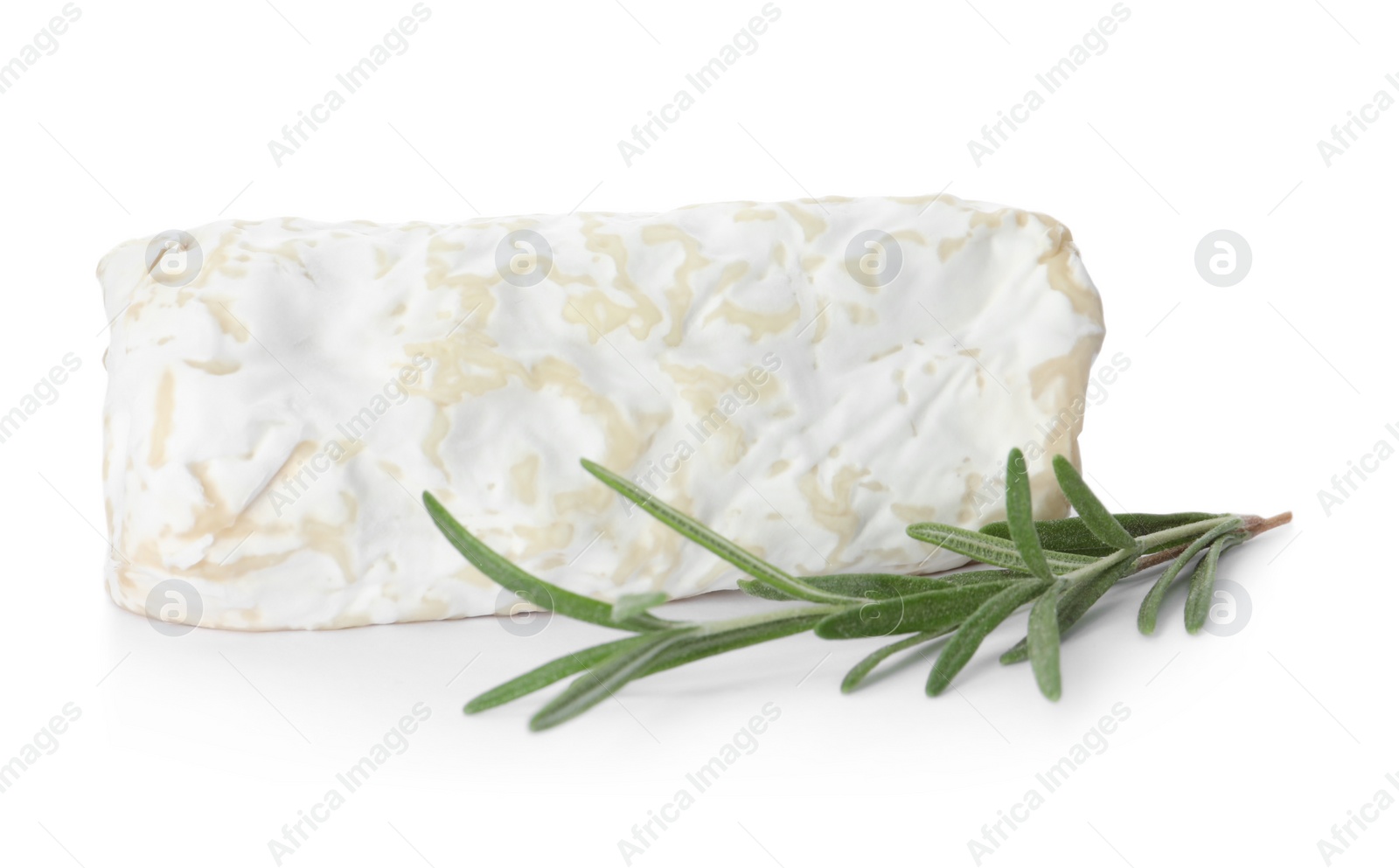 Photo of Delicious fresh goat cheese with rosemary on white background