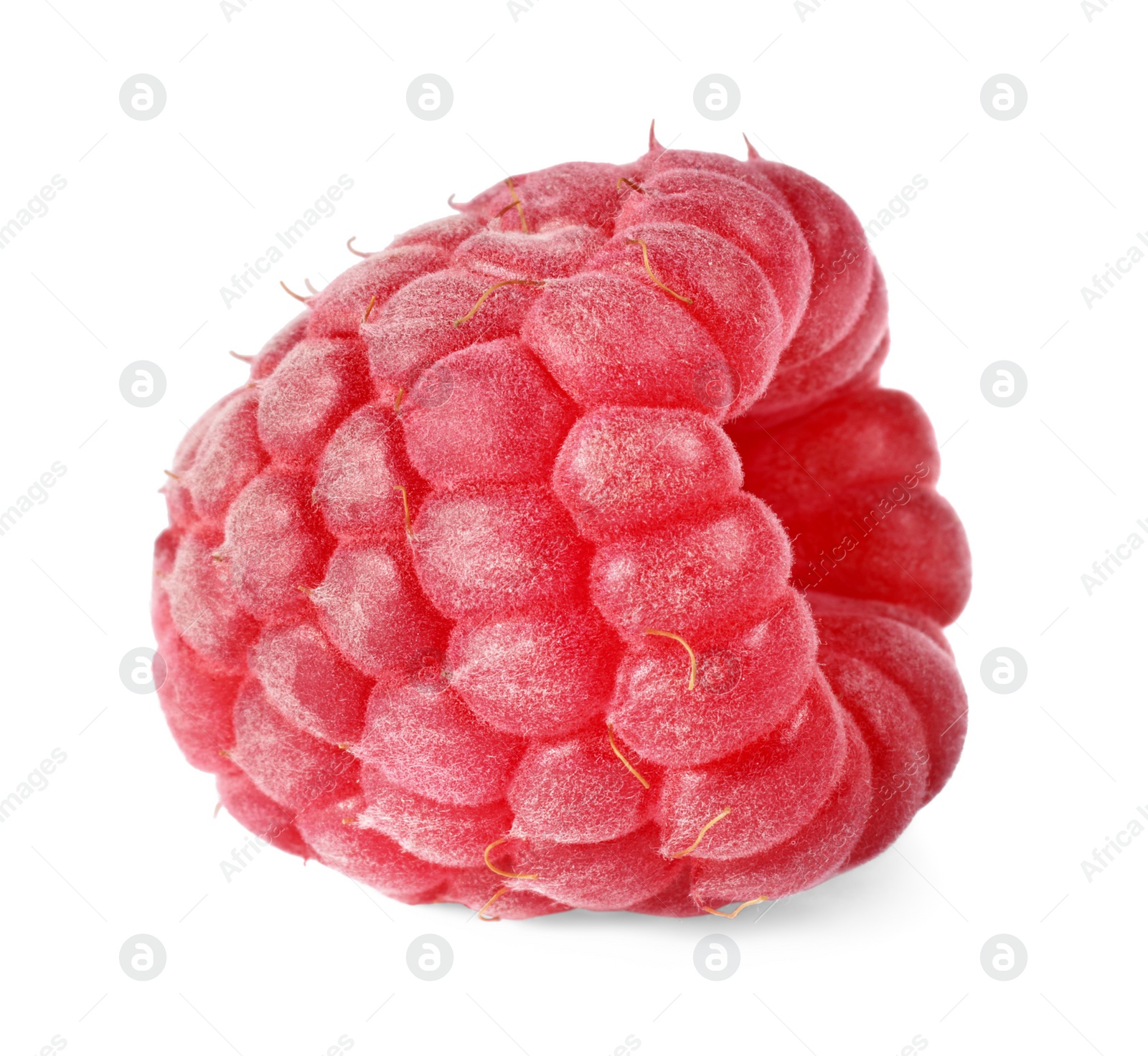 Photo of One tasty ripe raspberry isolated on white