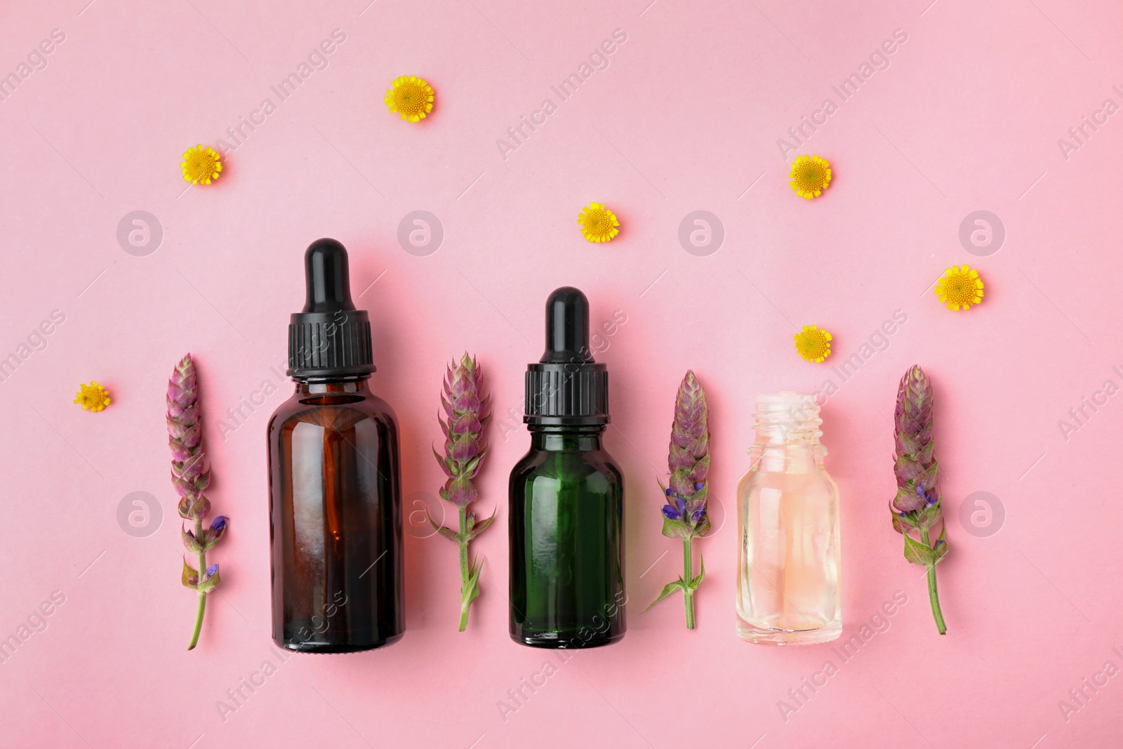 Photo of Bottles of different essential oils and wildflowers on color background, flat lay