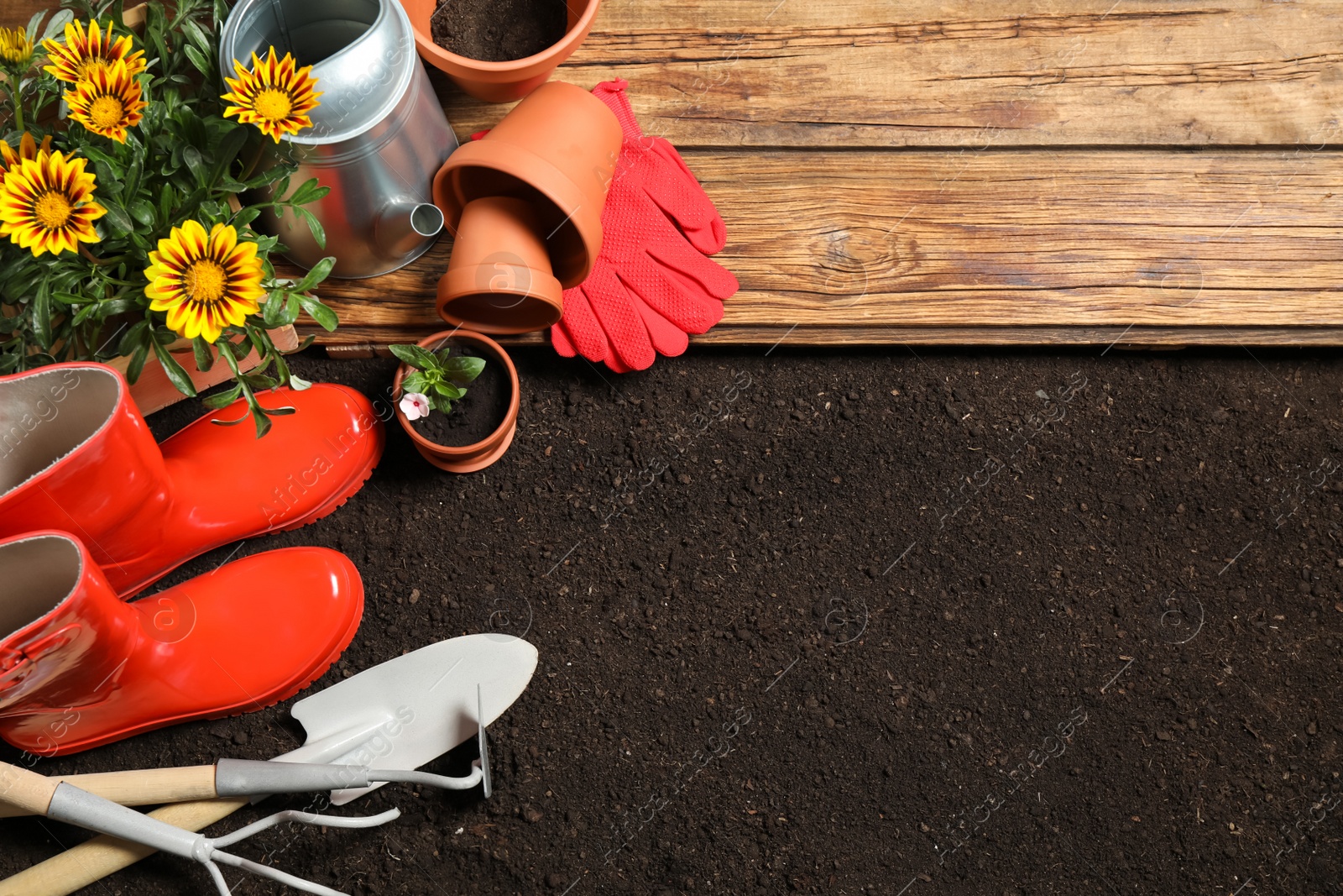 Photo of Flat lay composition with gardening equipment and flower on soil, space for text