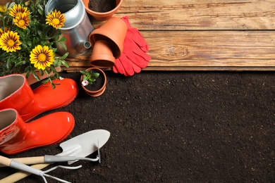 Flat lay composition with gardening equipment and flower on soil, space for text