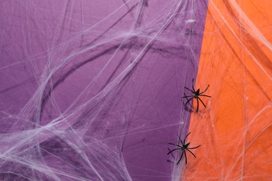 Cobweb and spiders on violet background, top view