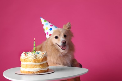 Cute dog wearing party hat at table with delicious birthday cake on pink background. Space for text