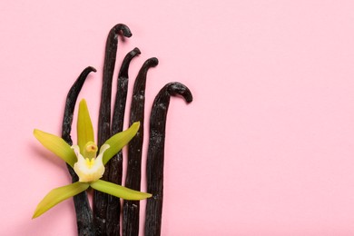 Photo of Vanilla pods and beautiful flower on pink background, top view. Space for text