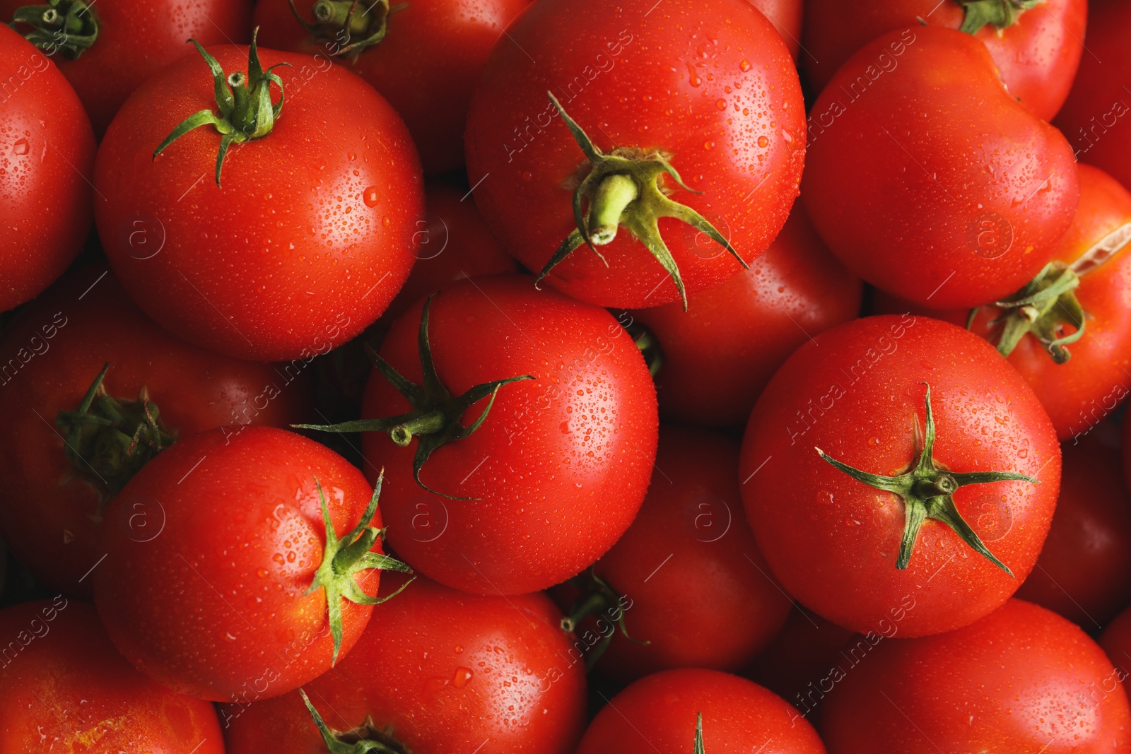 Photo of Fresh ripe red tomatoes as background, closeup