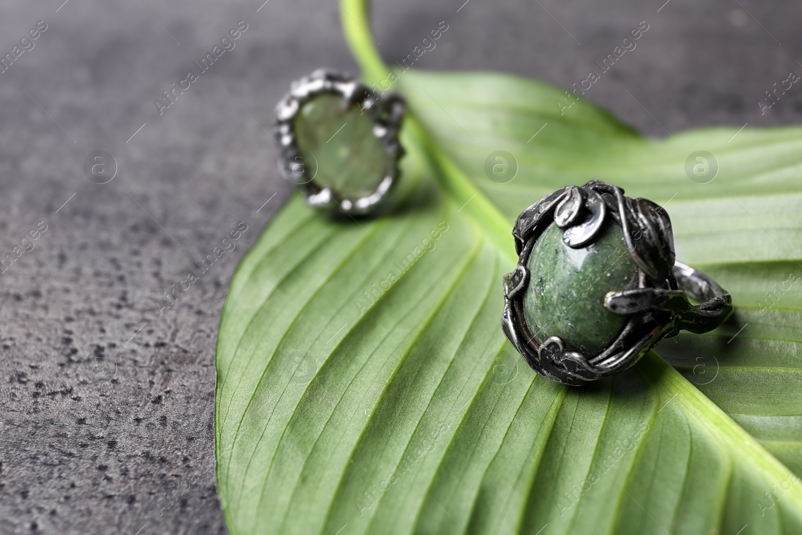 Photo of Beautiful silver ring with opal gemstone on green leaf. Space for text