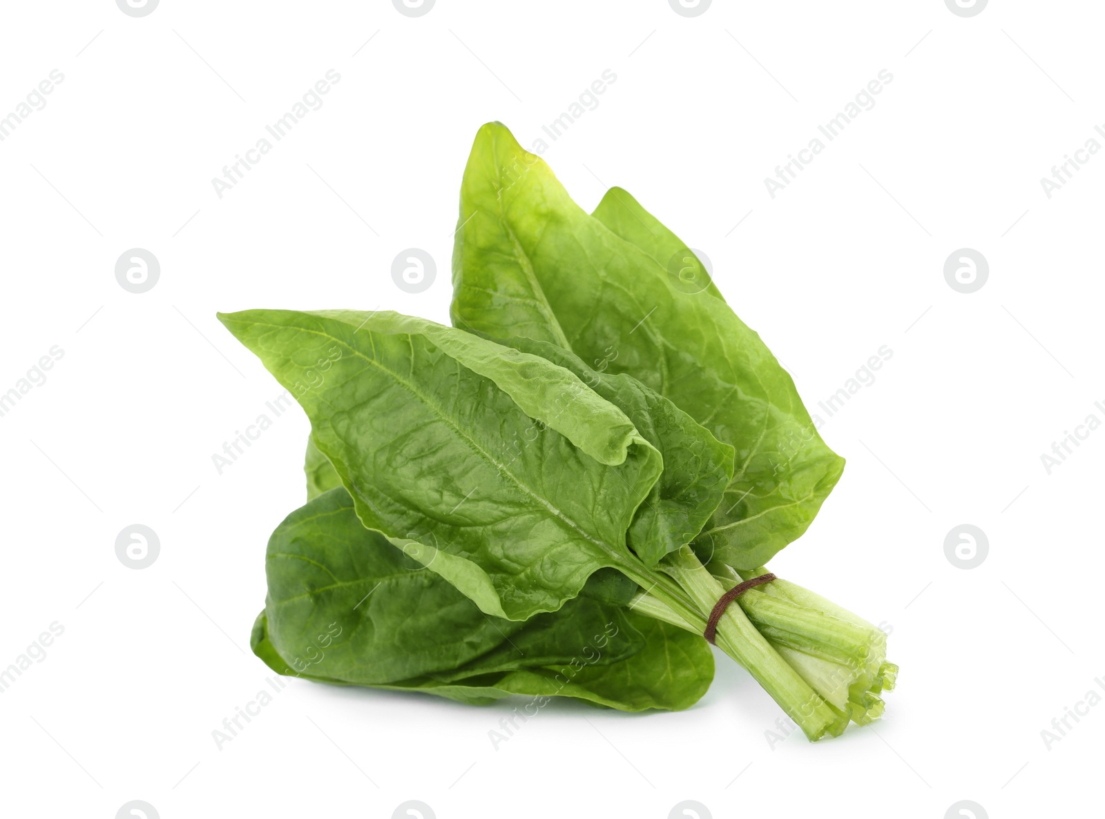 Photo of Bundle of fresh spinach isolated on white