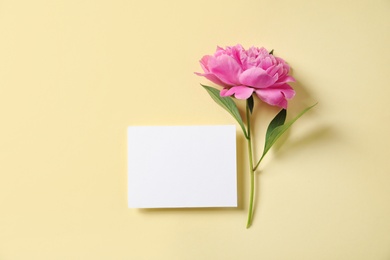 Photo of Fresh peony and empty card on color background, flat lay with space for text