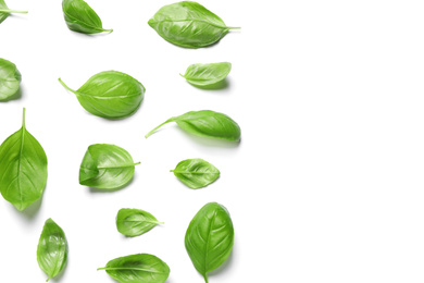 Fresh green basil leaves on white background, top view