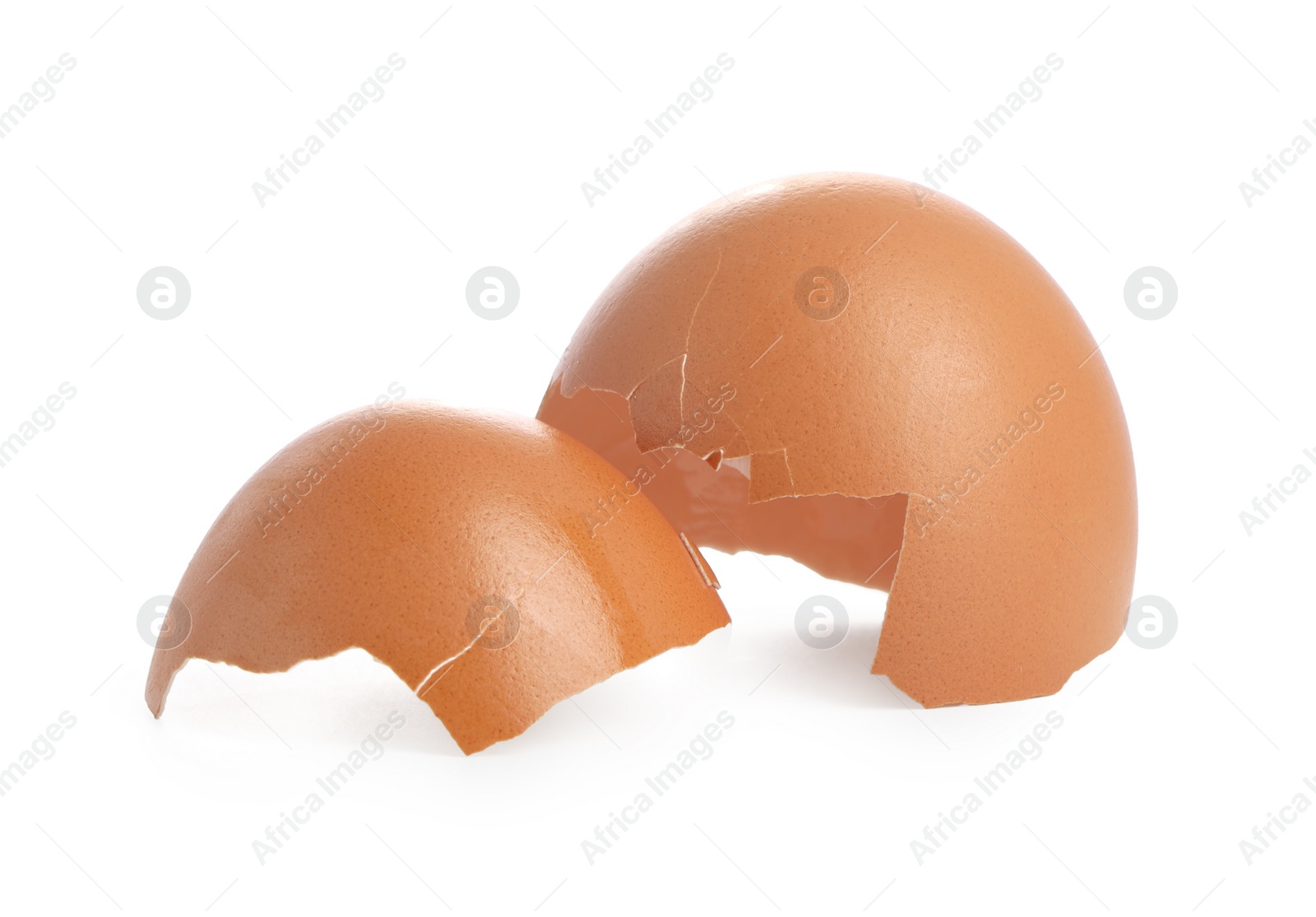 Photo of Shells of chicken egg isolated on white