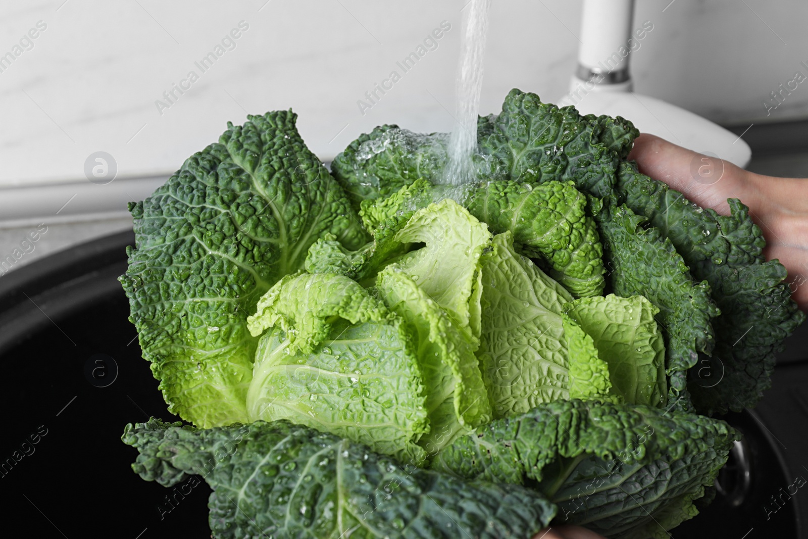 Photo of Woman washing fresh green savoy cabbage under tap water in kitchen sink, closeup