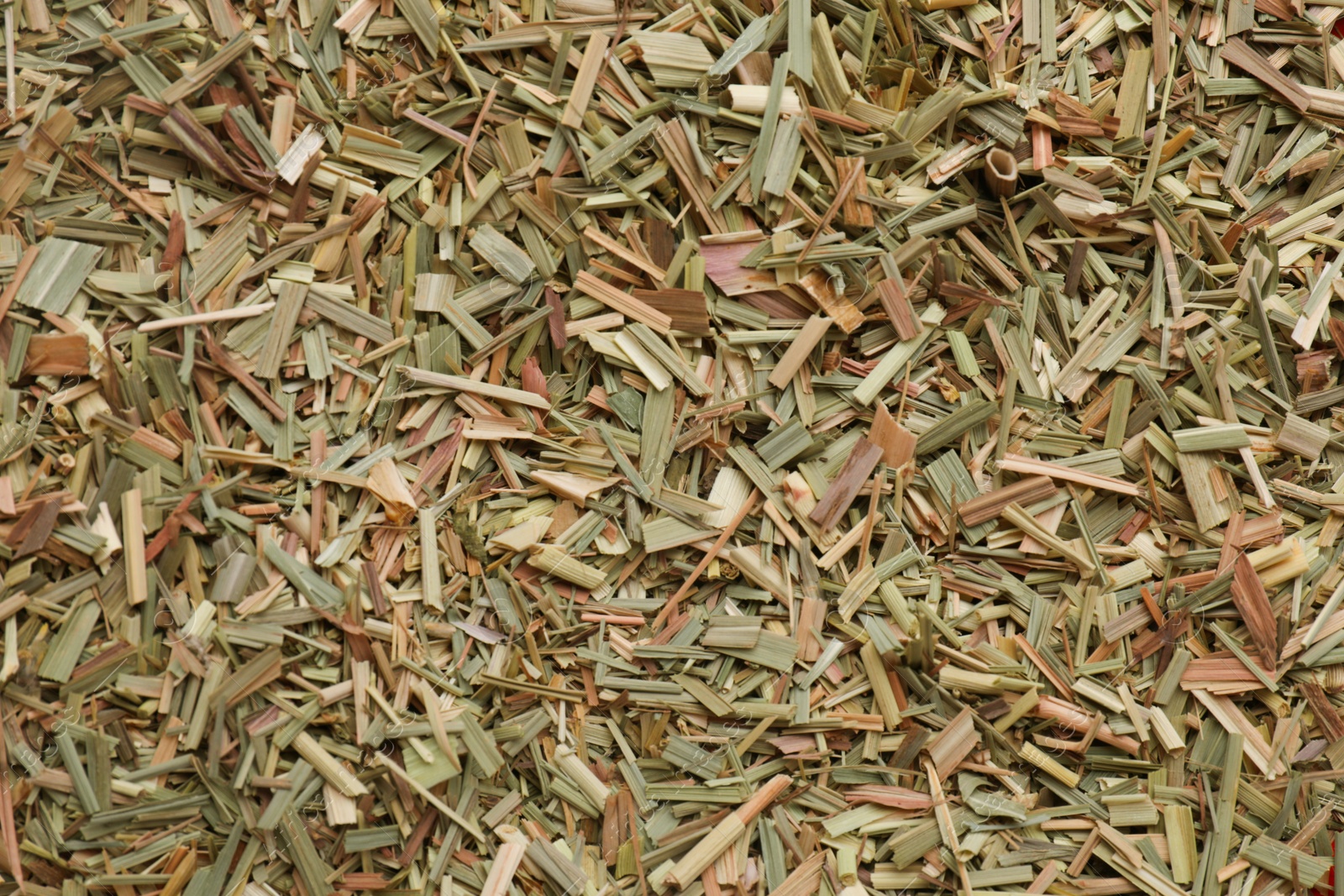 Photo of Aromatic dried lemongrass as background, top view