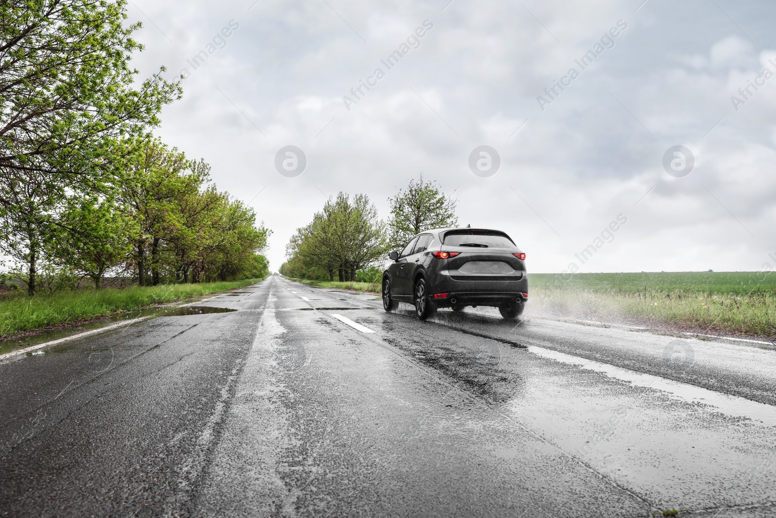 Photo of Wet suburban road with car on rainy day