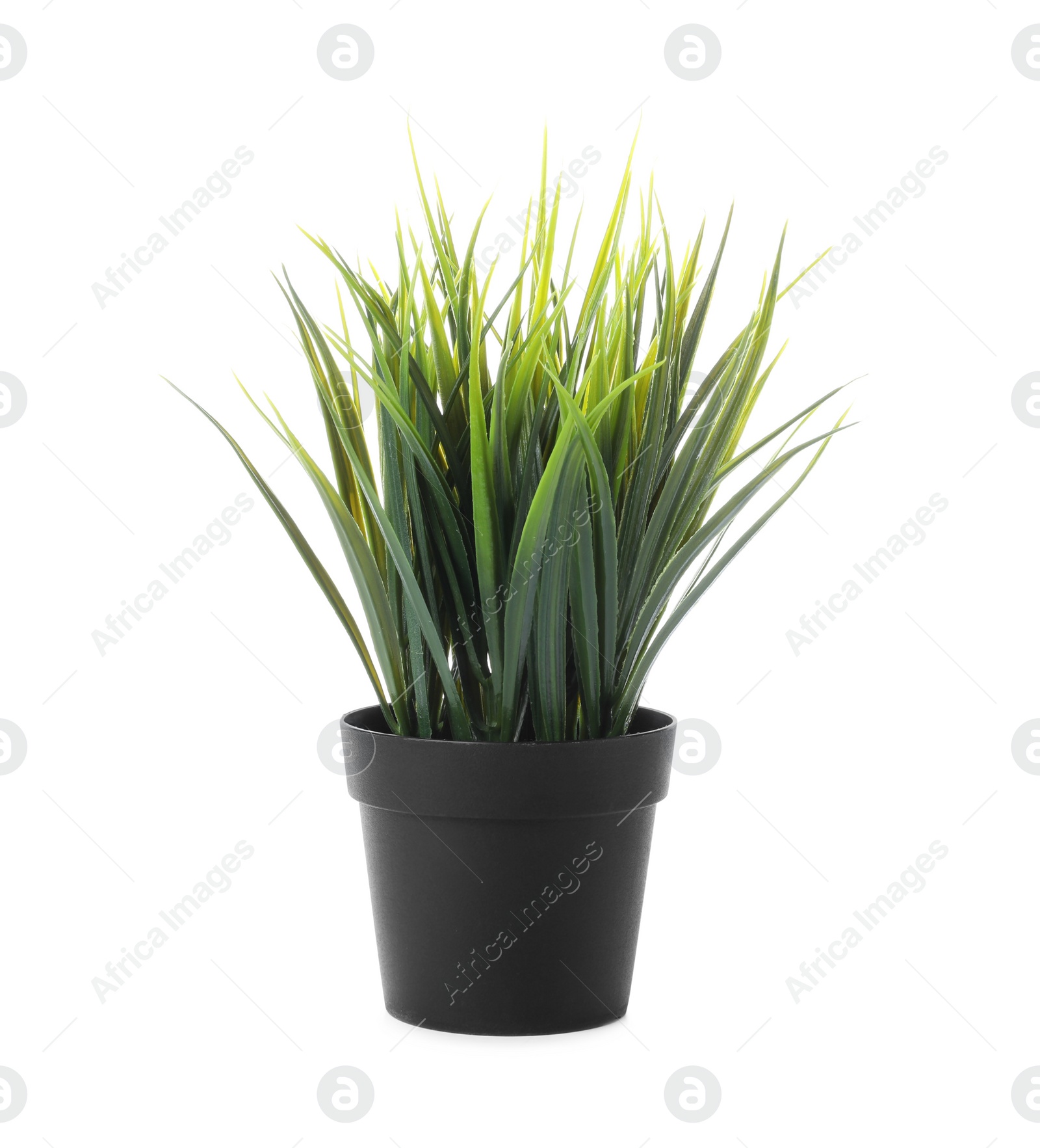 Photo of Beautiful artificial plant in flower pot isolated on white