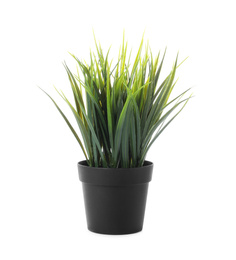 Beautiful artificial plant in flower pot isolated on white