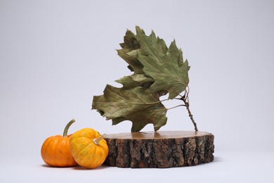 Autumn presentation for product. Wooden stump, pumpkins and dry leaves on white background