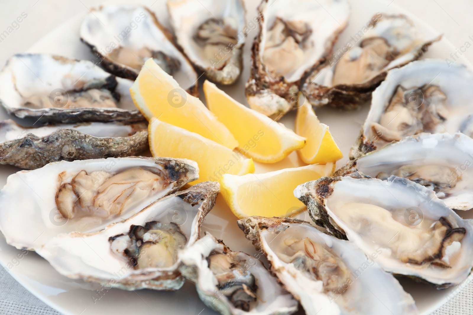 Photo of Fresh oysters with cut juicy lemon on plate, closeup