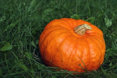 Photo of Ripe orange pumpkin among green grass outdoors, closeup. Space for text