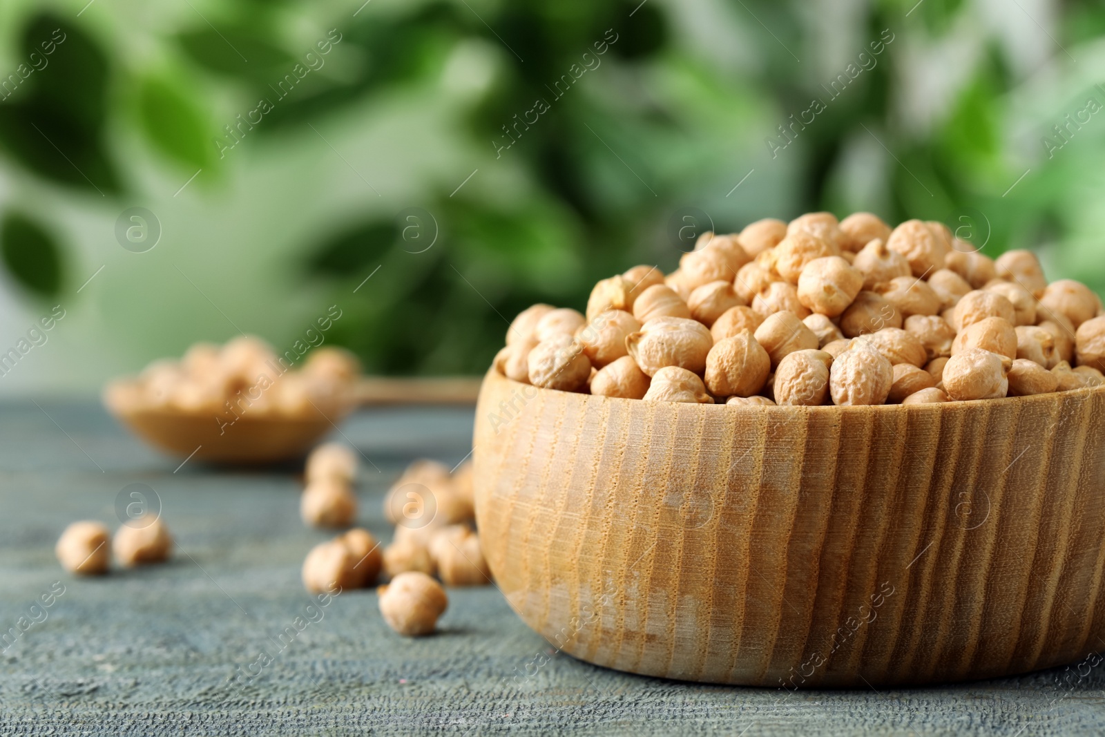 Photo of Raw chickpeas in bowl on blue wooden table, closeup. Space for text