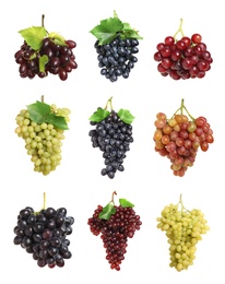 Image of Set of fresh grapes on white background