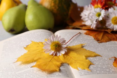 Photo of Book with autumn leaf and chamomile flower as bookmark on table, closeup