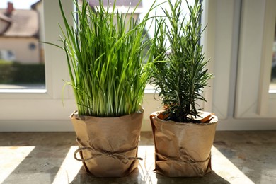 Photo of Potted green chives and rosemary plants on windowsill indoors. Aromatic herbs