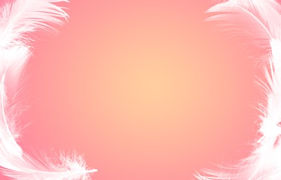 Image of Fluffy bird feathers in air on color background, space for text