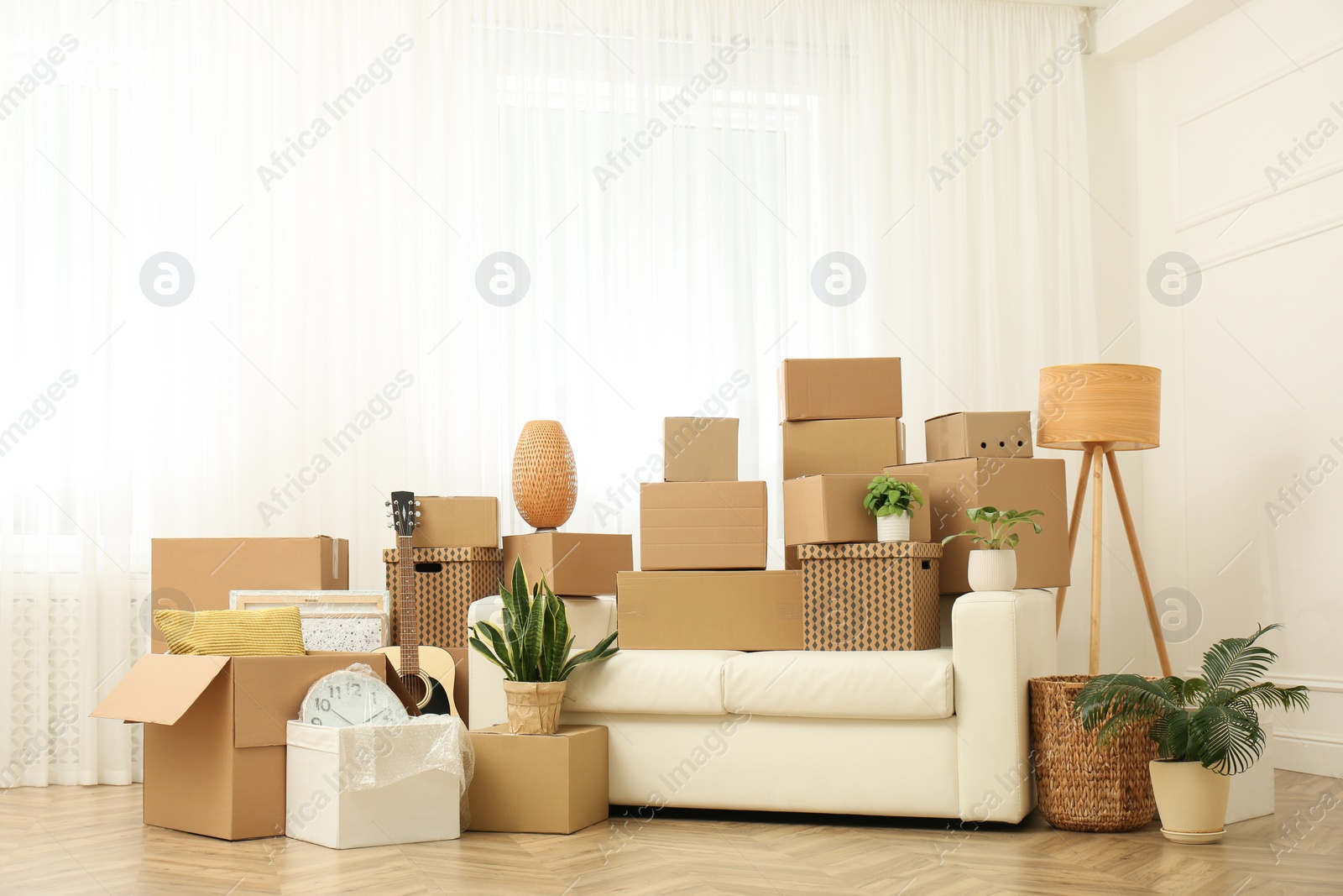 Photo of Cardboard boxes, potted plants and household stuff indoors. Moving day