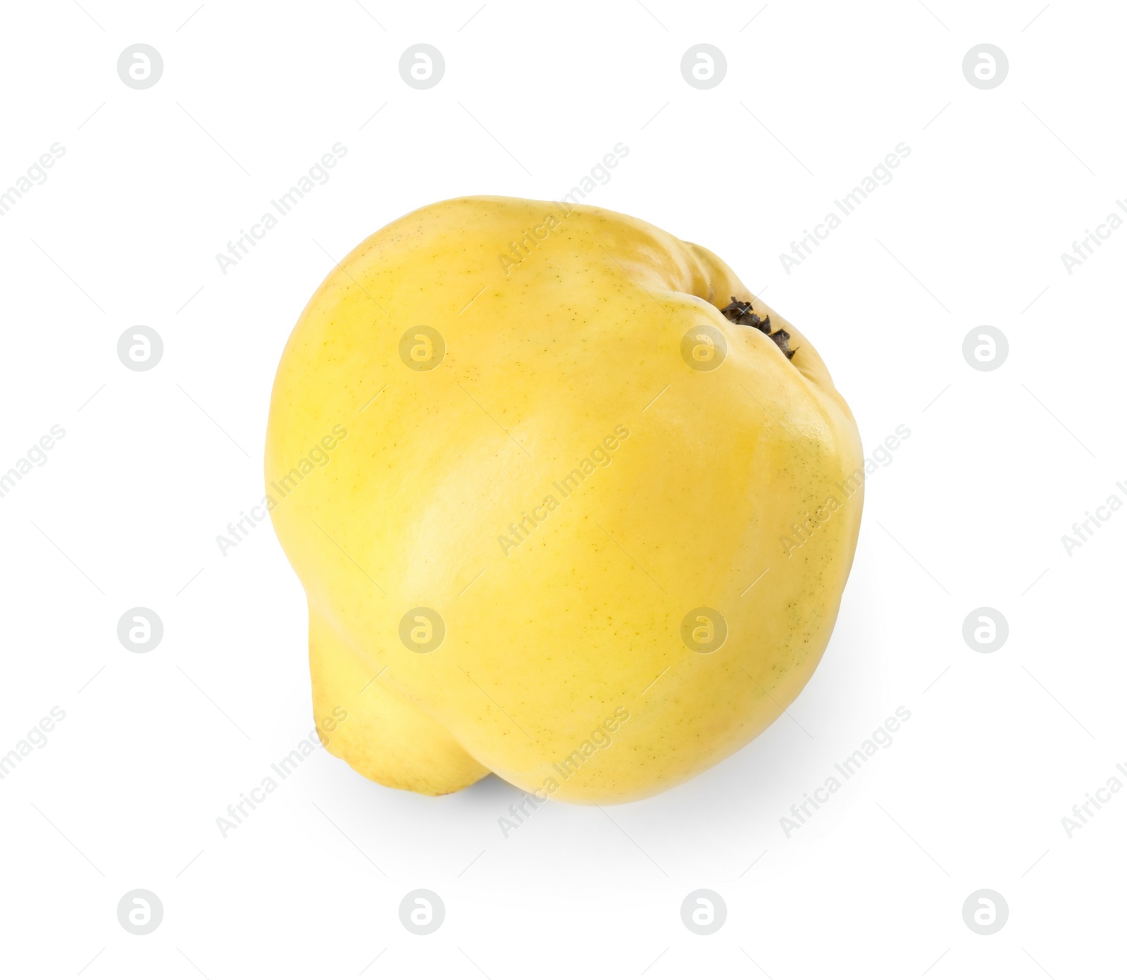 Photo of Delicious fresh ripe quince isolated on white