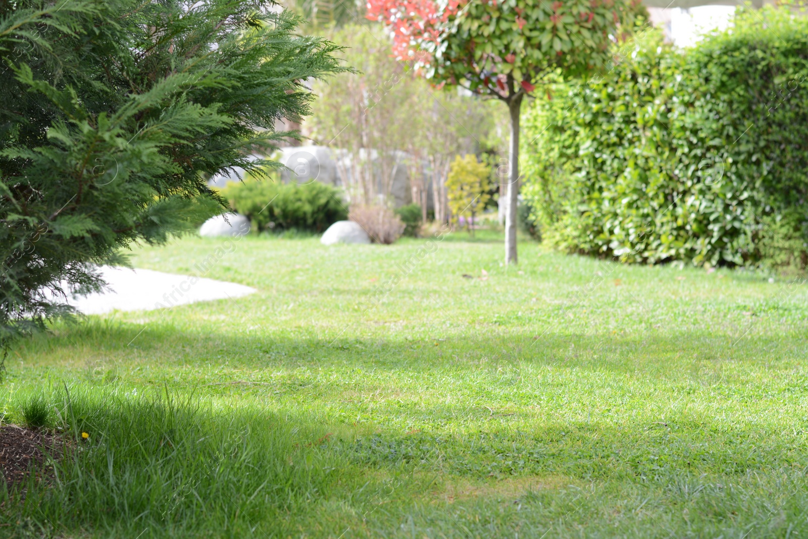 Photo of View of green lawn and plants in park