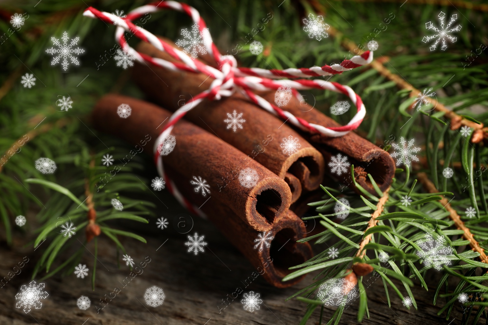 Image of Cinnamon sticks and fir tree branches on wooden table, closeup