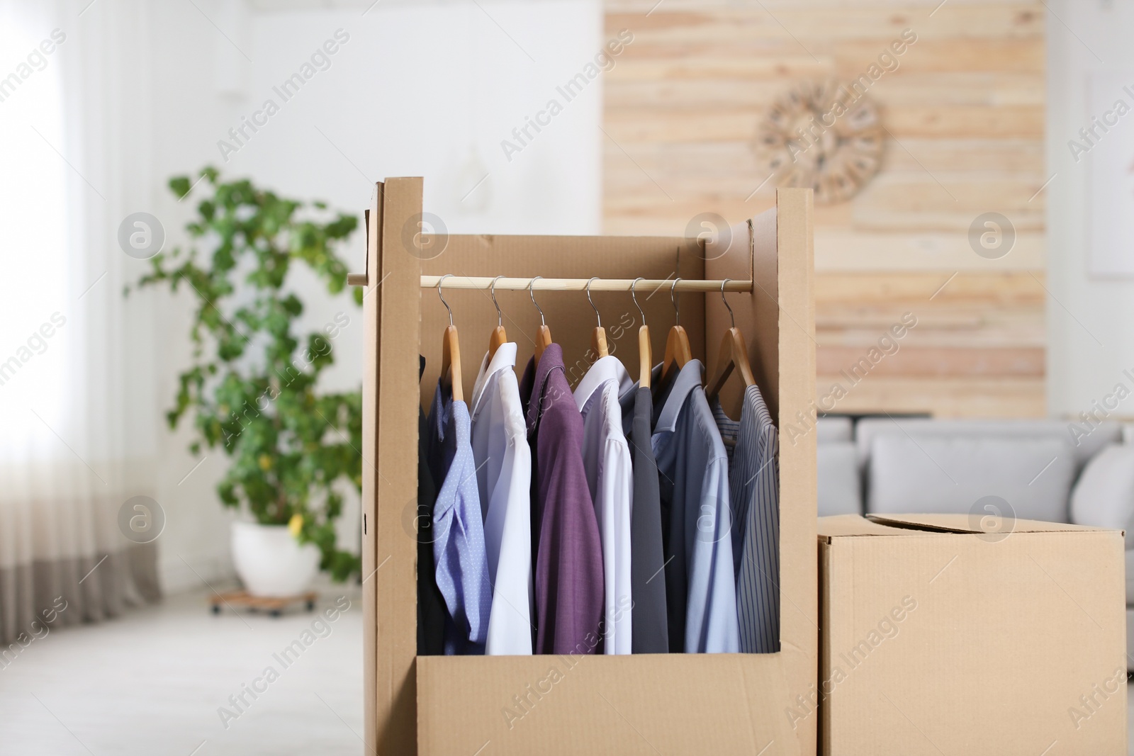 Photo of Cardboard wardrobe box with clothes on hangers in living room