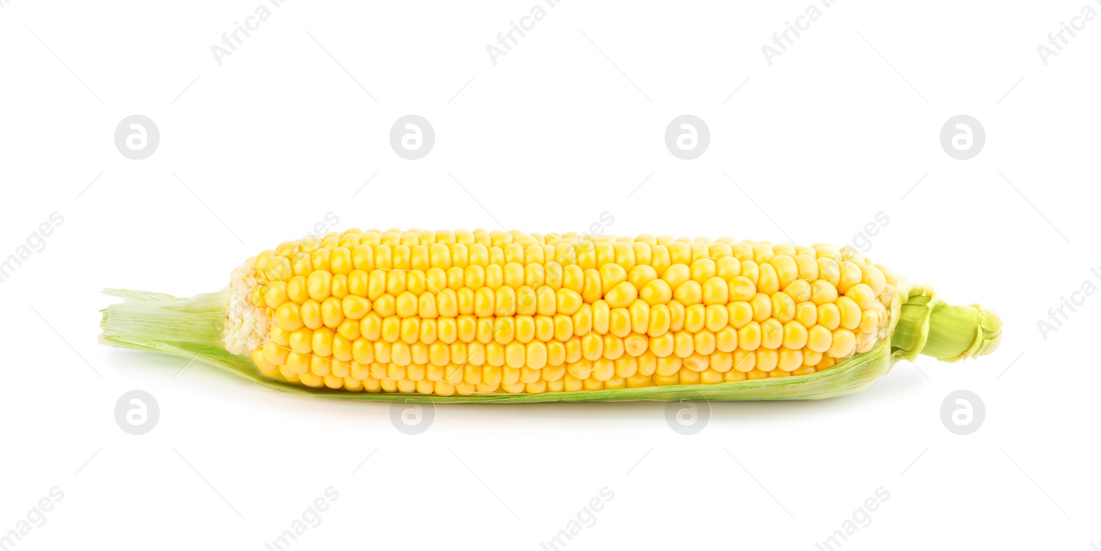 Ripe raw corn cob with husk isolated on white Photo of Ripe raw corn cob with husk isolated on white