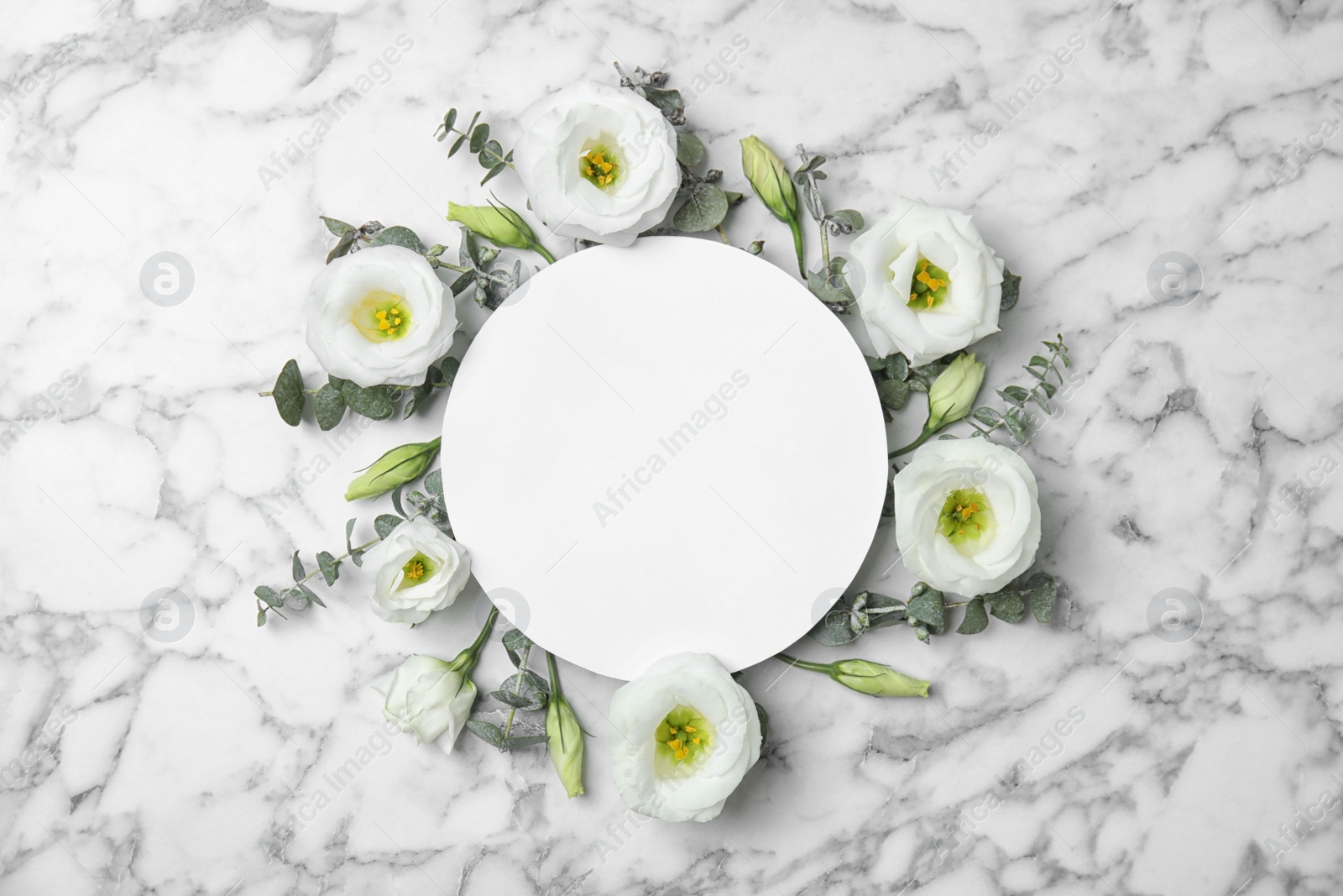 Photo of Fresh eucalyptus leaves, flowers and blank card with space for design on marble background, top view