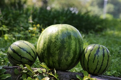 Different delicious ripe watermelons on stone surface outdoors