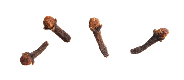 Photo of Dry cloves on white background. Mulled wine ingredient