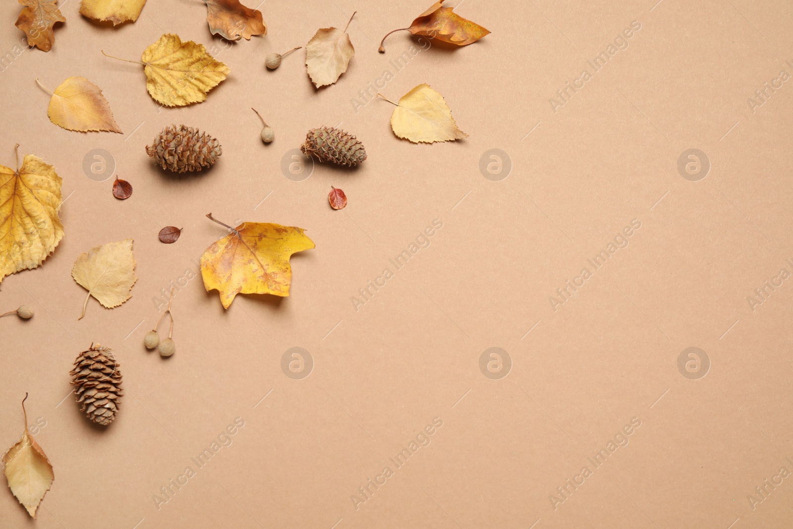 Photo of Flat lay composition with autumn leaves on beige background, space for text