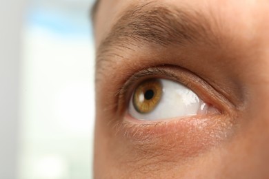 Closeup view of man with beautiful eye on blurred background