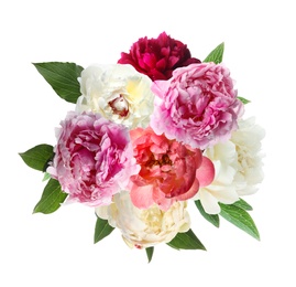 Image of Beautiful peony flower bouquet on white background