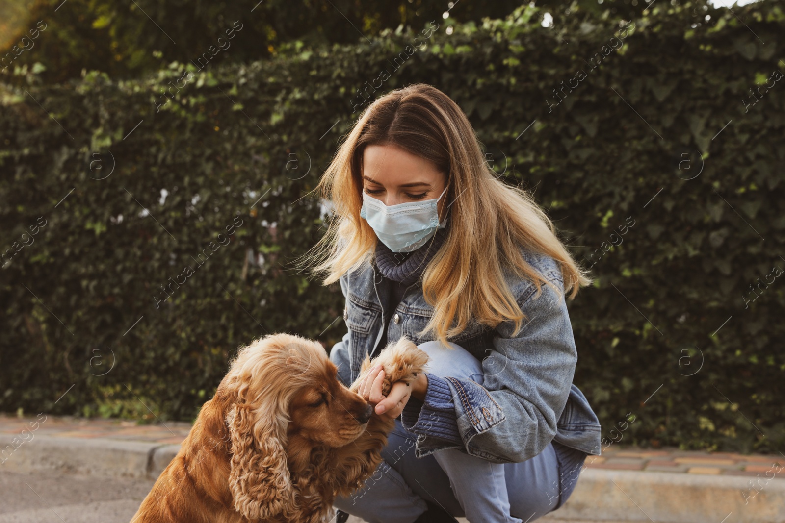 Photo of Woman in protective mask with English Cocker Spaniel outdoors. Walking dog during COVID-19 pandemic