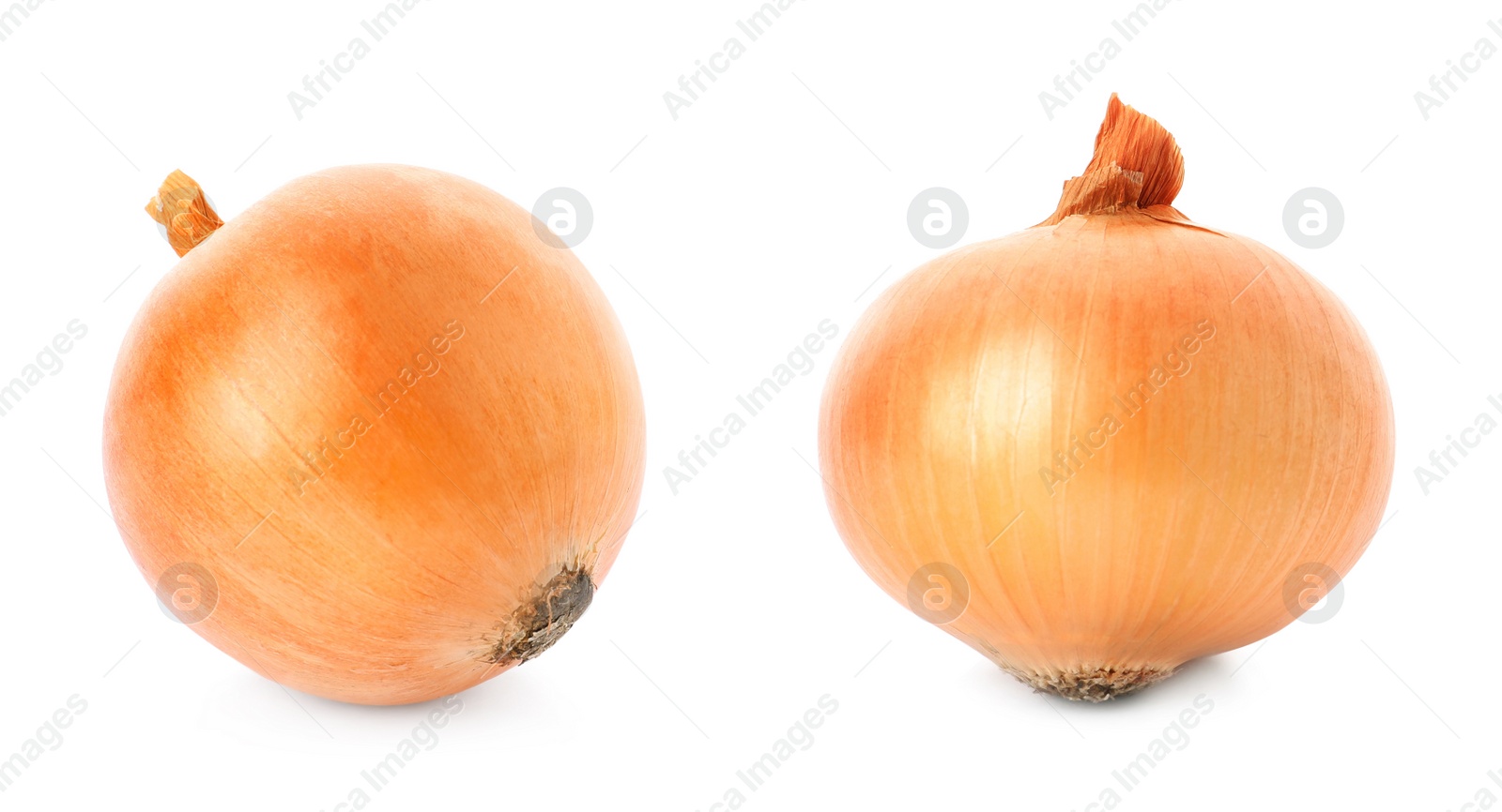 Image of Two yellow onion bulbs isolated on white