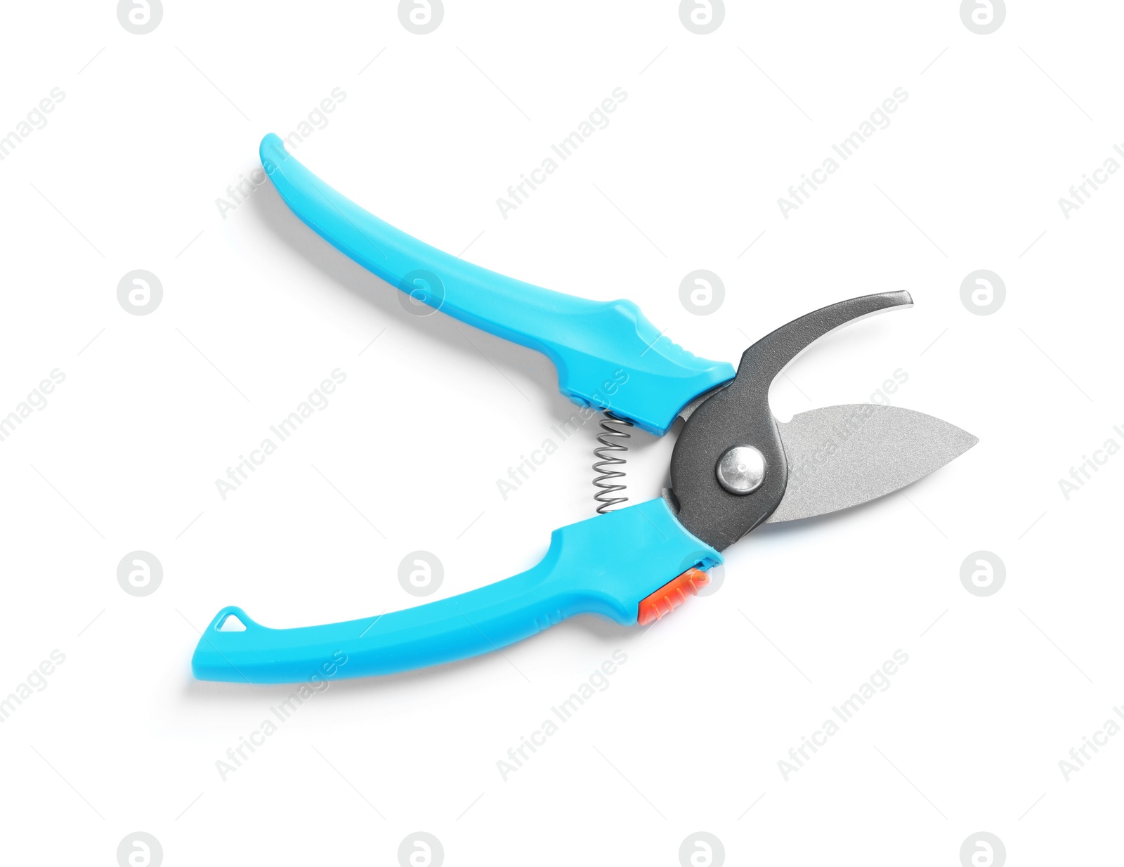 Photo of New pruner on white background. Professional gardening tool