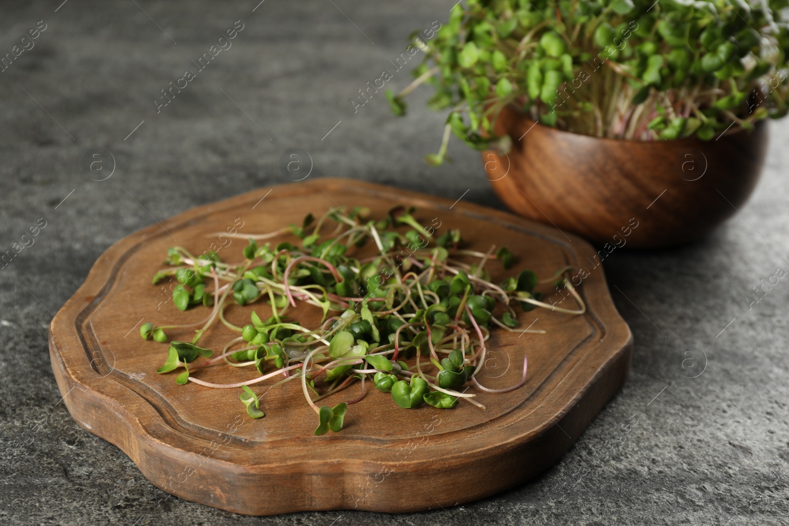 Photo of Board with fresh radish microgreens on grey table