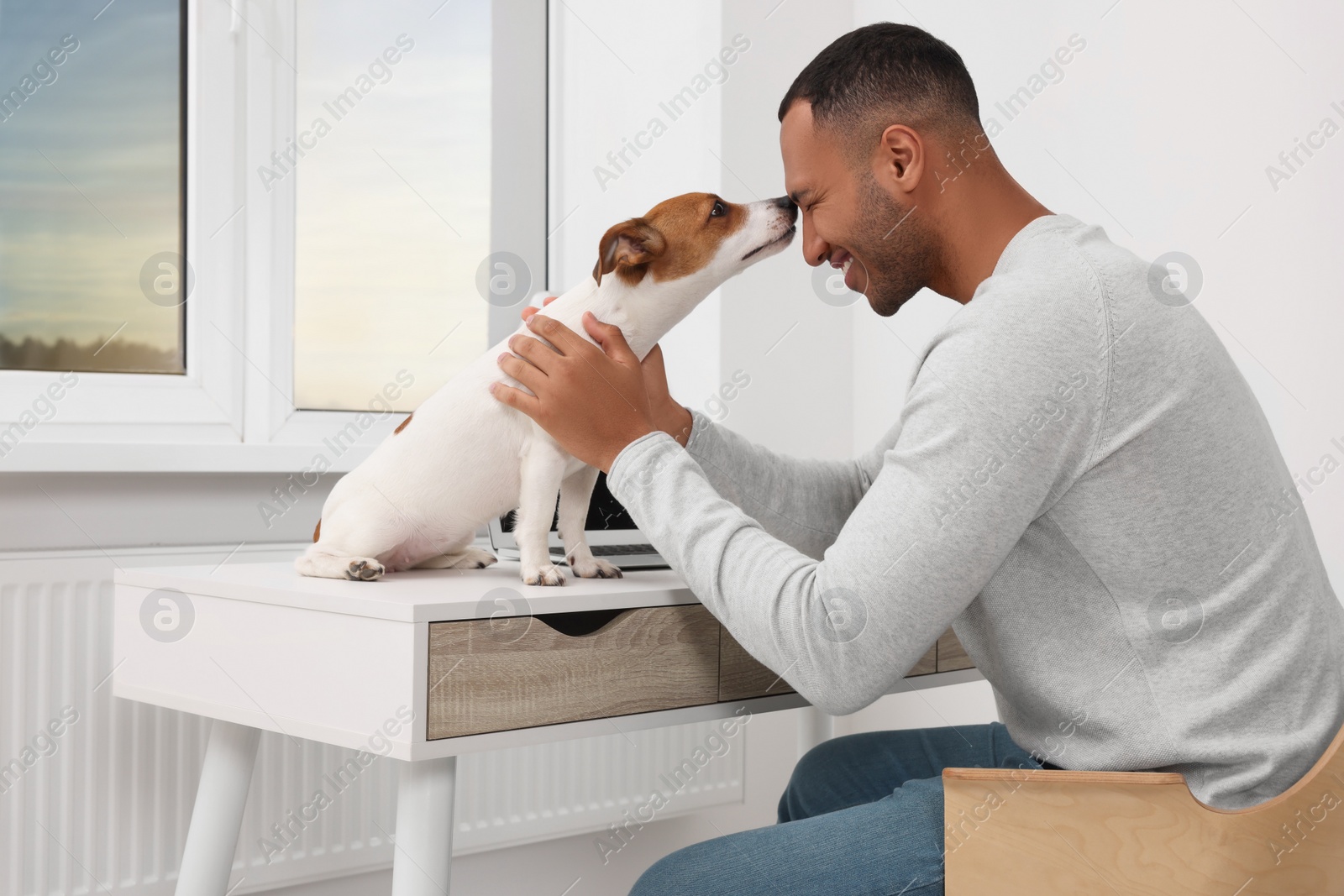 Photo of Young man with Jack Russell Terrier at desk in home office