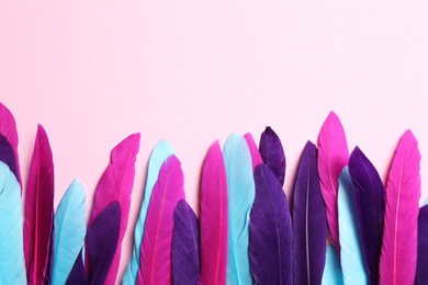 Photo of Bright feathers on pink background, flat lay. Space for text