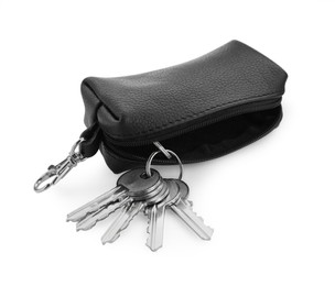 Leather case with keys isolated on white
