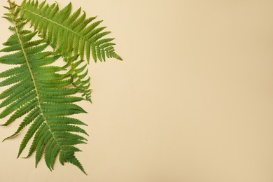 Photo of Beautiful tropical fern leaves on beige background, flat lay. Space for text